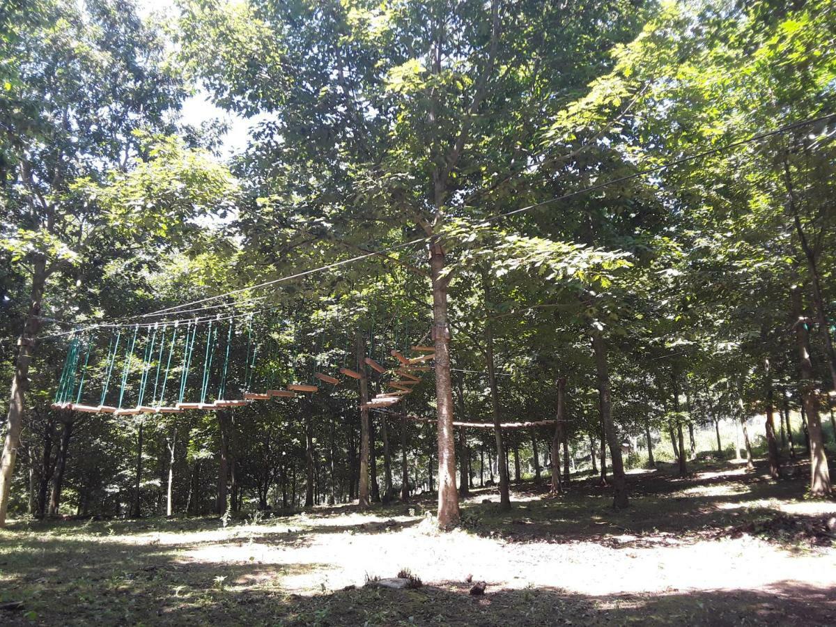 Albergue Mandoia Aterpetxea Arantzazu ภายนอก รูปภาพ
