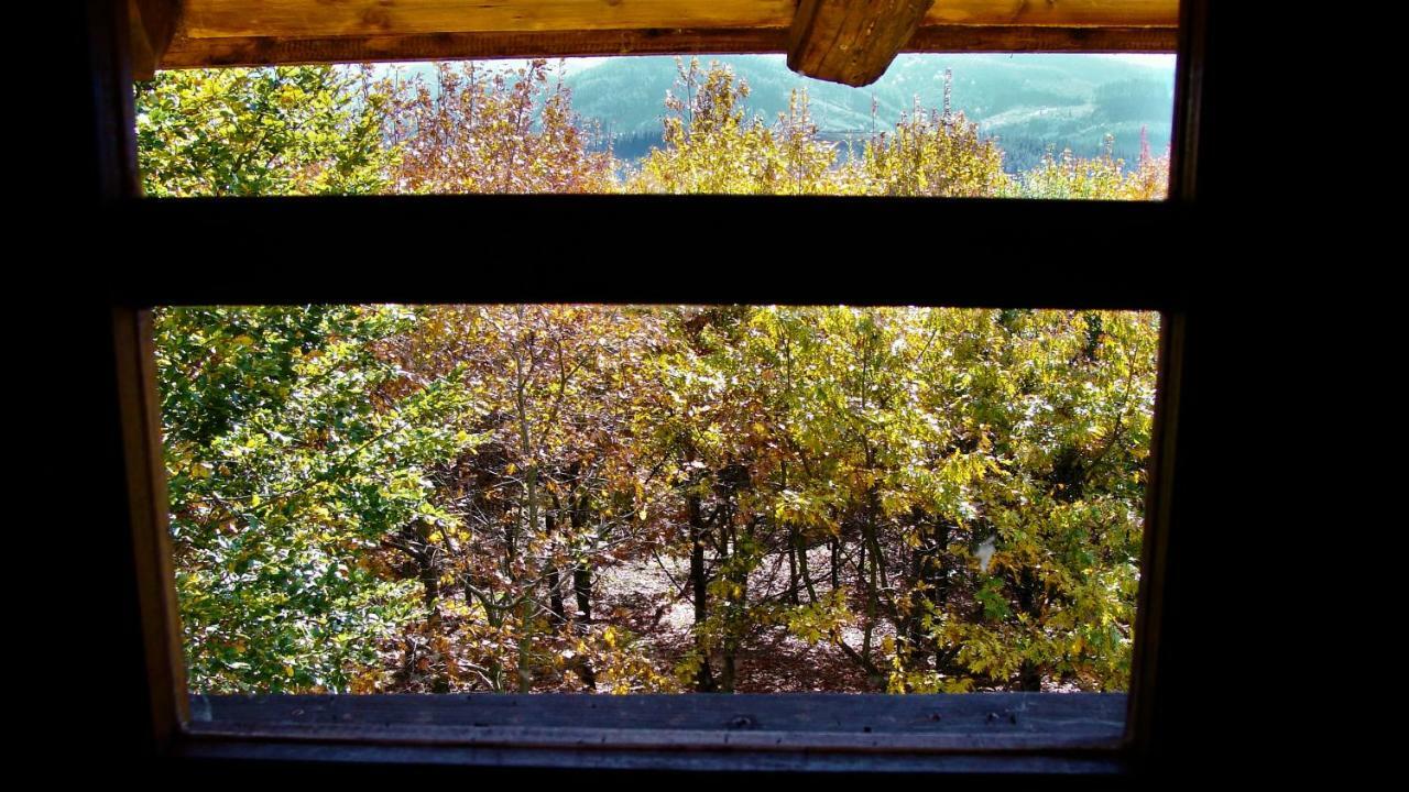 Albergue Mandoia Aterpetxea Arantzazu ภายนอก รูปภาพ